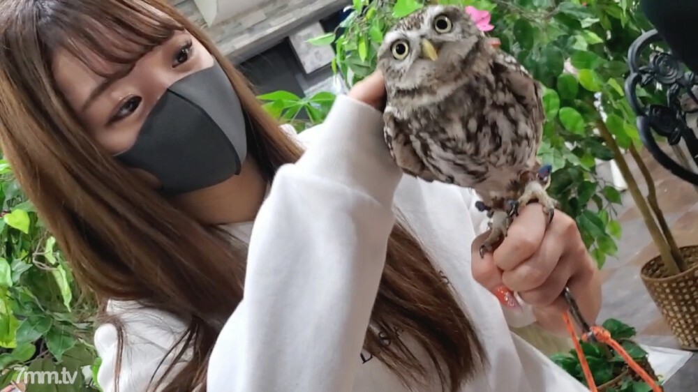 FC2-PPV-1794863 สาวขาวเย็ดกลางวัน