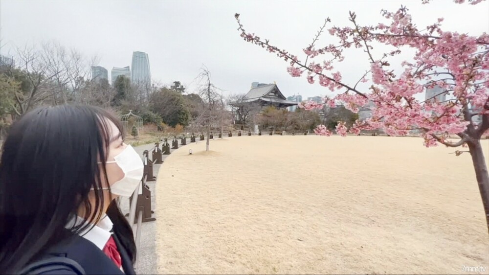 [FC2-PPV-2823161] สาวผมสั้นเย็ดดุเดือด