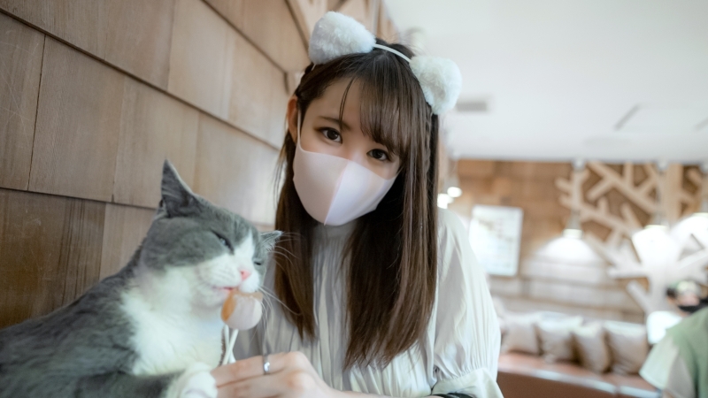 FC2-PPV-3133721 ชุดนักศึกษาเย็ดเดือด