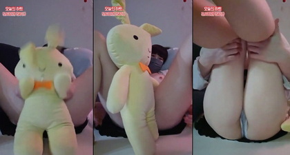 เกาหลี KBJ-24041107 58588253