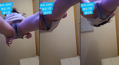 เกาหลี KBJ-24062736 Goldmandarin