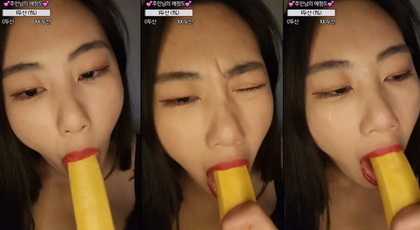 เกาหลี KBJ-24081434 Dana2377