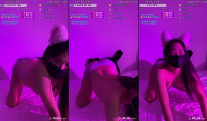 เกาหลี KBJ-24092683 Wintersnowwin