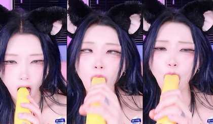 เกาหลี KBJ-24121873 Twingo1125