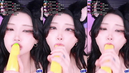 เกาหลี KBJ-25011847 Twingo1125